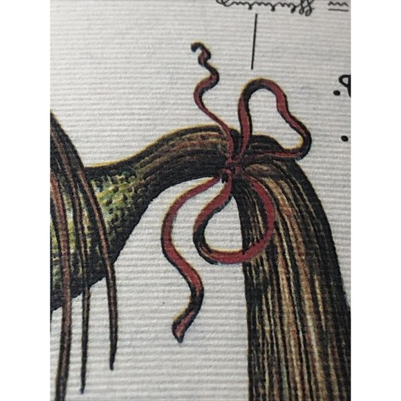 Luigi Serafini Codex Seraphinianus Print 83B - Picture 7 of 16